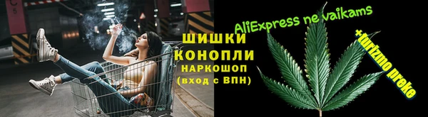 mix Богородицк