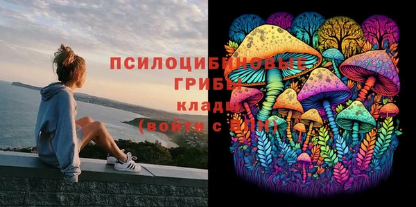 стафф Беломорск
