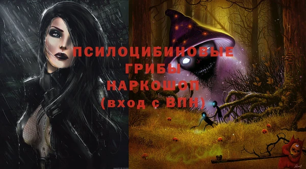 крисы Белоозёрский