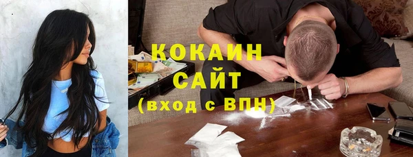 mix Богородицк