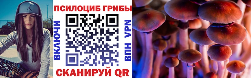 это Telegram  Большой Камень  Галлюциногенные грибы Cubensis 